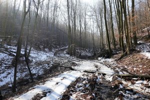 V doline pod Zlatou studničkou