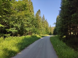 Na cyklotrase Nad Šadibolovcami