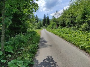Dolina Skríželné 