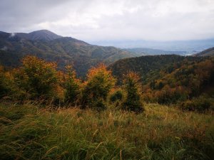 Pohľad z Pivnice 