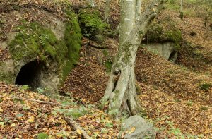 Pivničky