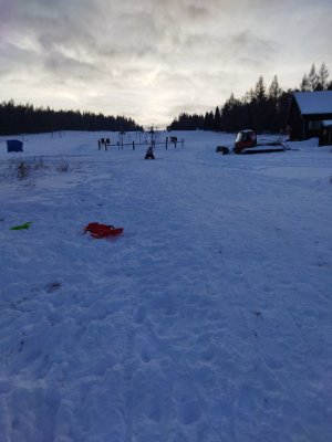 Ski Buče