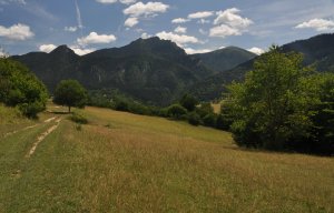 Fatrička 
