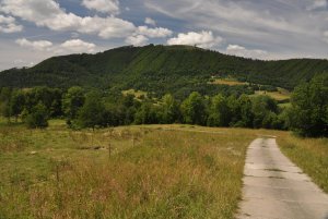 Panelovka