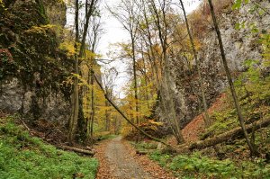Medzi stenami Zádielskej doliny