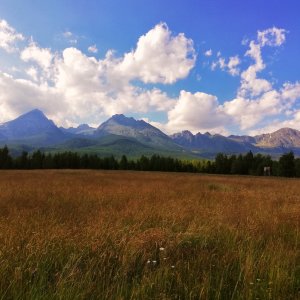 Vysoké Tatry zo Štôly