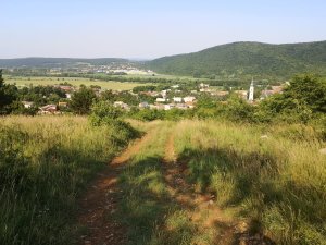 Skoré leto nad Plešivcom
