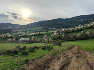 Jar nad Lipovcami