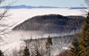 Inverzia 