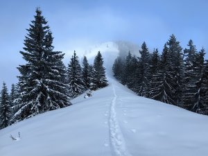 Pod Lyscom, za Lyscom