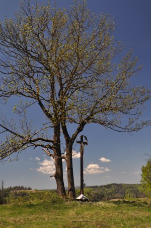 Kríž pod Jakubovským vrchom