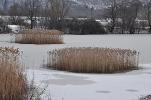 Zákutie