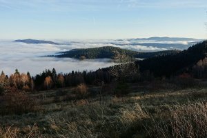 Šarišská strana