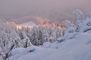 Veľkofatranská zimná idylka II.