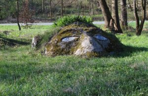 Obor Šošár
