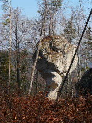 Budzogáň