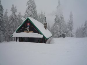 16.2.2013