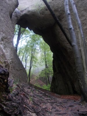 Brána