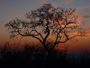  . . . podvečer