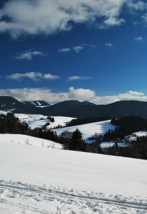 Od sv.Vendelína