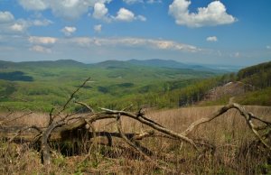 Jarné Karpaty