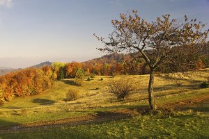 Podvečer pod Goldbergom