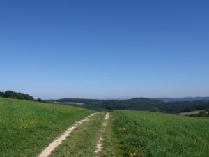 Bukovske Kopanice