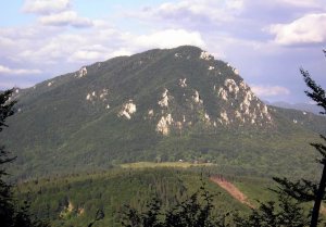 Šíp