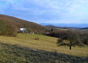 Zabudišová Kopanica.