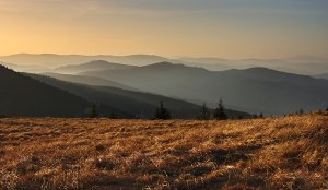 Z Kojšovskej hole xxx