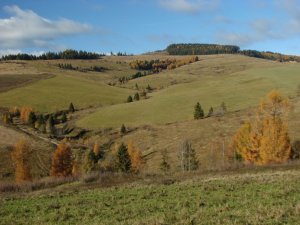 Levočské vrchy IV.