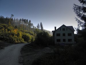Strašidelné torzo