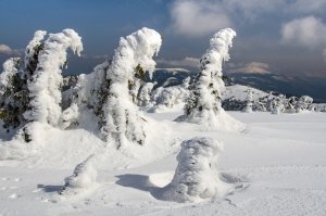 Skrehnutí pútnici
