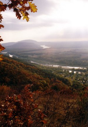 jesenno