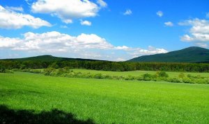 Pod Gaštanicou