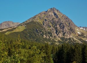 Solisko
