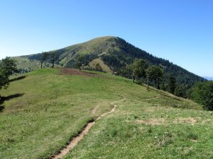 Borišov