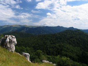 Pod zadnou Ostrou