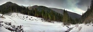 "Protipožiarna" lesná cesta