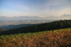 Tatry a tráva