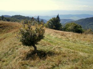 Čergovská pohoda