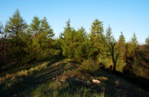 Na Skalnatej
