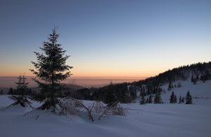 Z Kojšovskej hole I.