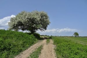 Nad Sliačskou dolinou.