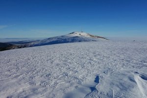 Vyfúkaná