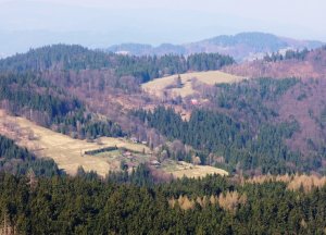 Lazy na Kysuciach