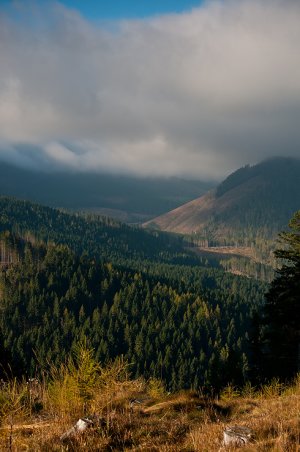 Ždiarska dolina