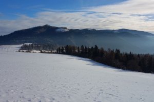 Hanigovec