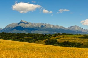 Tatry z poľa na skok od ČS PHM