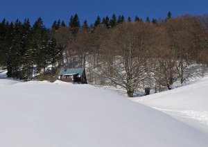 útuľna Limba..